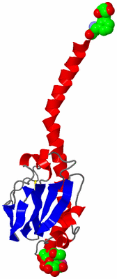 Image Asymmetric Unit