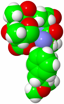 Image NMR Structure - model 1