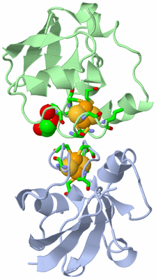 Image Asym./Biol. Unit - sites