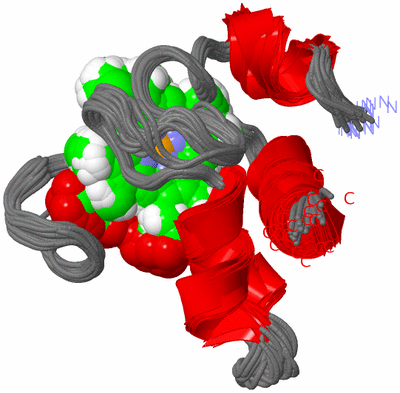 Image NMR Structure - all models