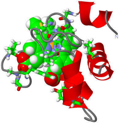 Image NMR Structure - model 1, sites