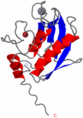 Image NMR Structure - model 1