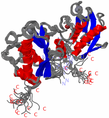 Image NMR Structure - all models