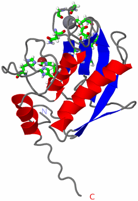 Image NMR Structure - model 1, sites