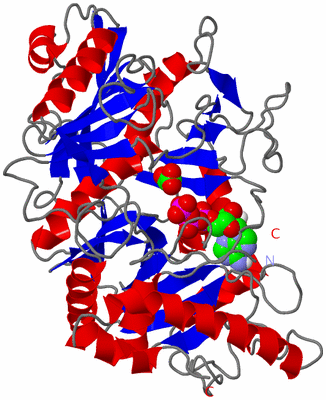 Image Asym./Biol. Unit