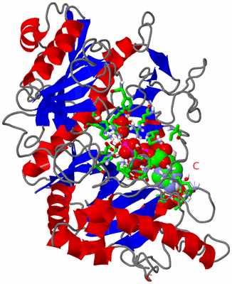 Image Asym./Biol. Unit - sites