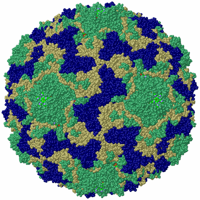 Image Biol. Unit 1 - sites