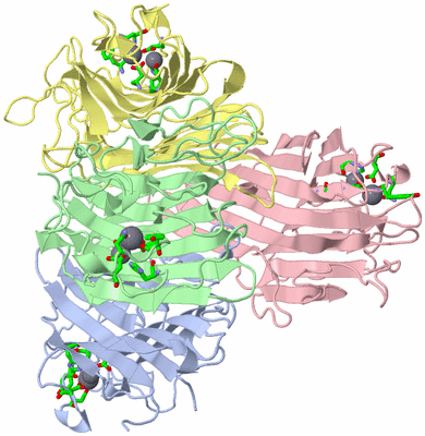 Image Asym./Biol. Unit - sites