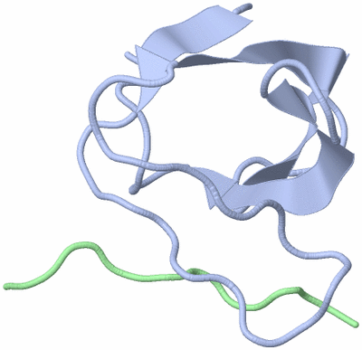 Image NMR Structure - model 1