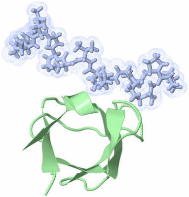 Image NMR Structure - model 1