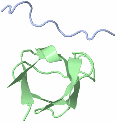 Image NMR Structure - all models