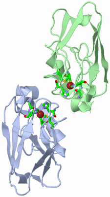 Image Biol. Unit 1 - sites