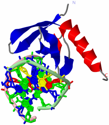 Image Asym./Biol. Unit