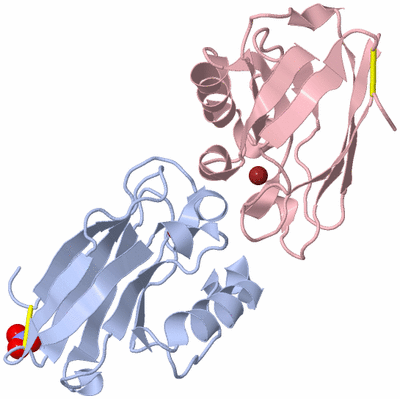 Image Biological Unit 1