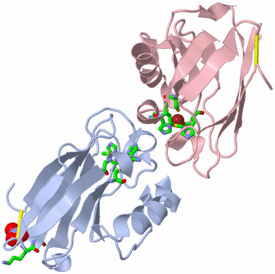 Image Biol. Unit 1 - sites