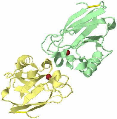 Image Biological Unit 2