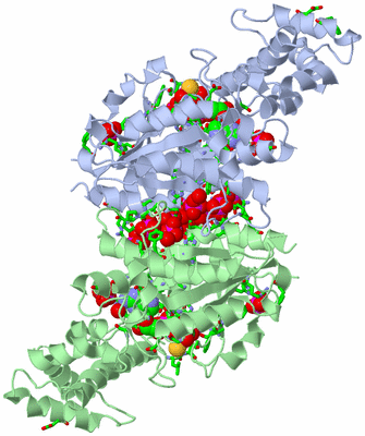 Image Asym./Biol. Unit - sites