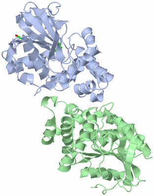 Image Asym./Biol. Unit - sites