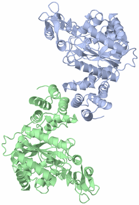 Image Asym./Biol. Unit