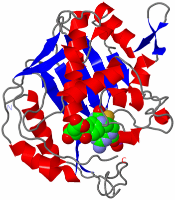 Image Asym./Biol. Unit