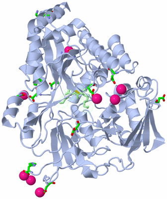 Image Asym./Biol. Unit - sites