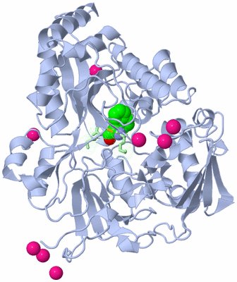 Image Asym./Biol. Unit