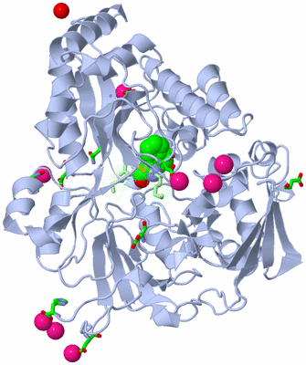 Image Asym./Biol. Unit - sites