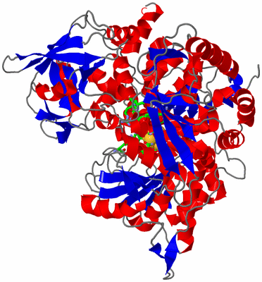 Image Asym./Biol. Unit - sites