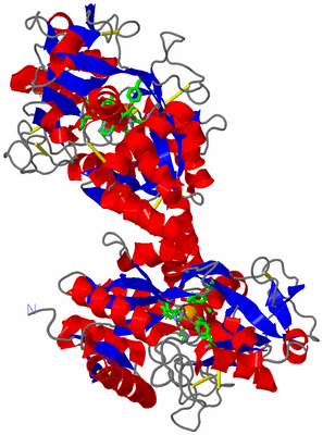 Image Asym./Biol. Unit - sites