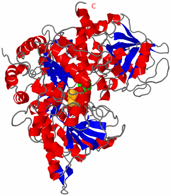 Image Asym./Biol. Unit