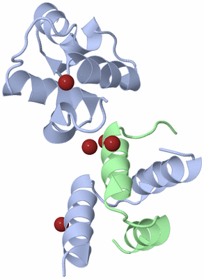 Image Biological Unit 1