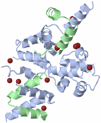 Image Biological Unit 2