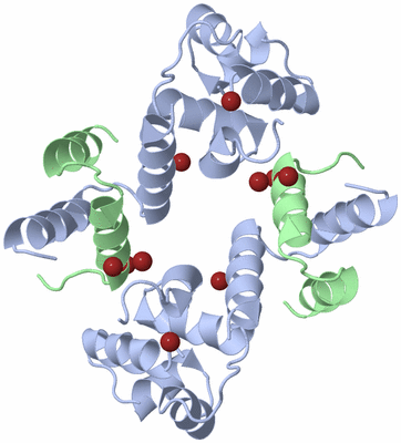 Image Biological Unit 3