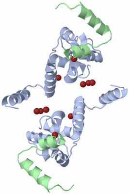 Image Biological Unit 4