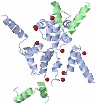 Image Biological Unit 5