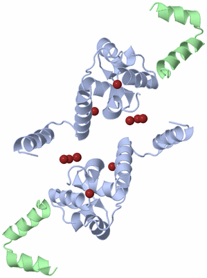 Image Biological Unit 6