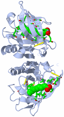 Image Biol. Unit 1 - sites