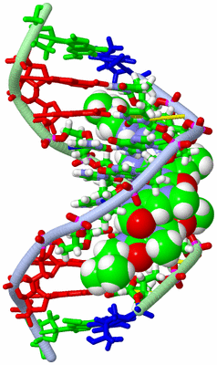 Image NMR Structure - model 1, sites