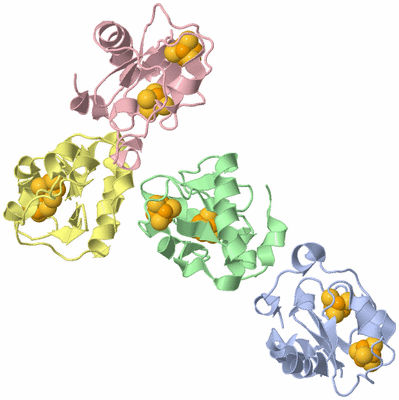 Image Asymmetric Unit