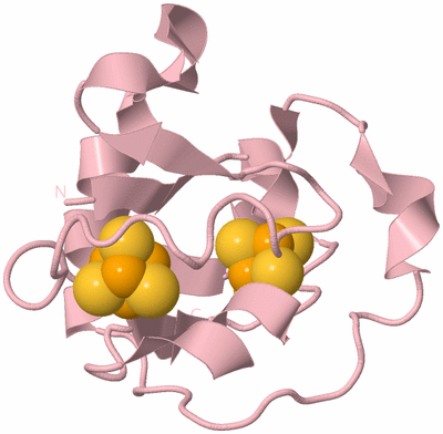 Image Biological Unit 3