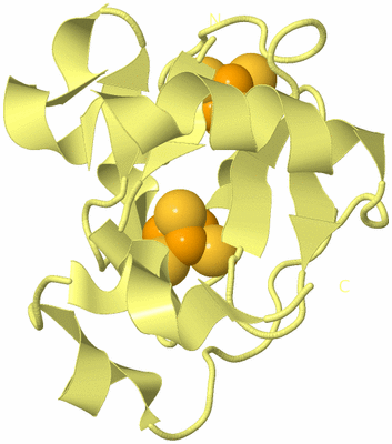 Image Biological Unit 4