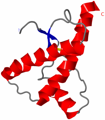 Image NMR Structure - model 1