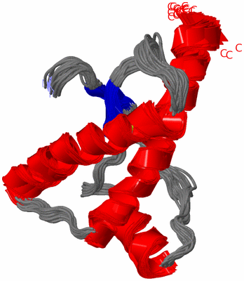 Image NMR Structure - all models