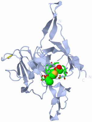 Image Biol. Unit 1 - sites