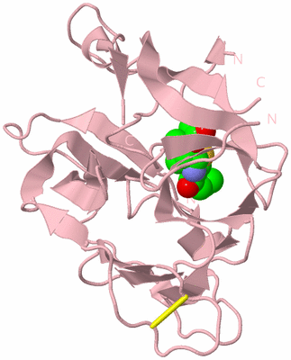 Image Biological Unit 3