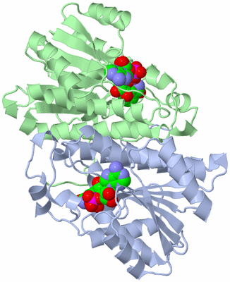 Image Asym./Biol. Unit