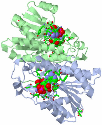 Image Asym./Biol. Unit - sites