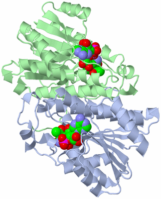 Image Asym./Biol. Unit