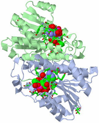 Image Asym./Biol. Unit - sites