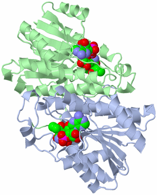 Image Asym./Biol. Unit